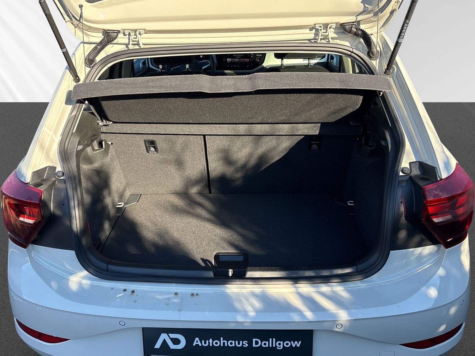 Polo 1.0 TSI Move OPF