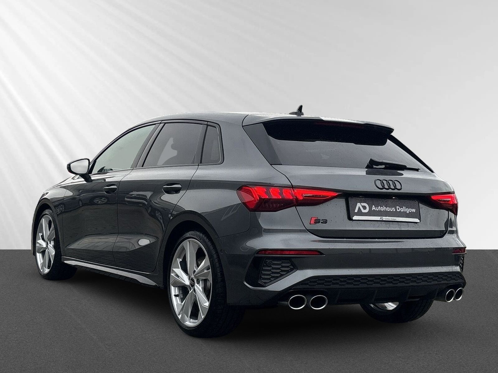 S3 Sportback TFSI 228(310) kW(PS) S tronic