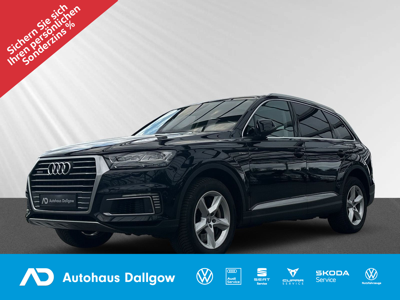 Q7 3.0 TDI e-tron