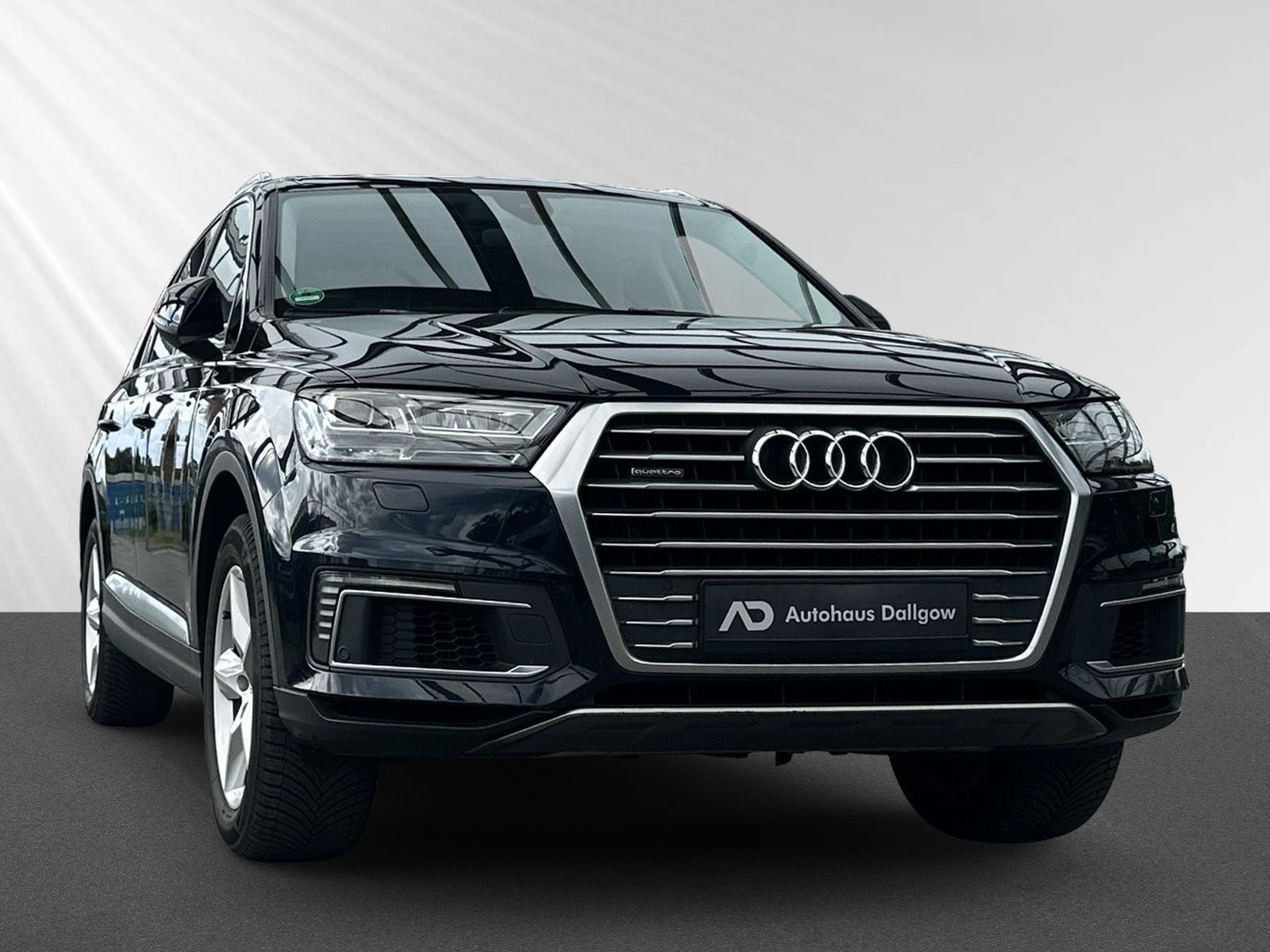 Q7 3.0 TDI e-tron