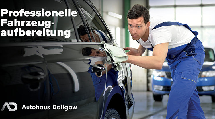  Professionelle Fahrzeugreinigung