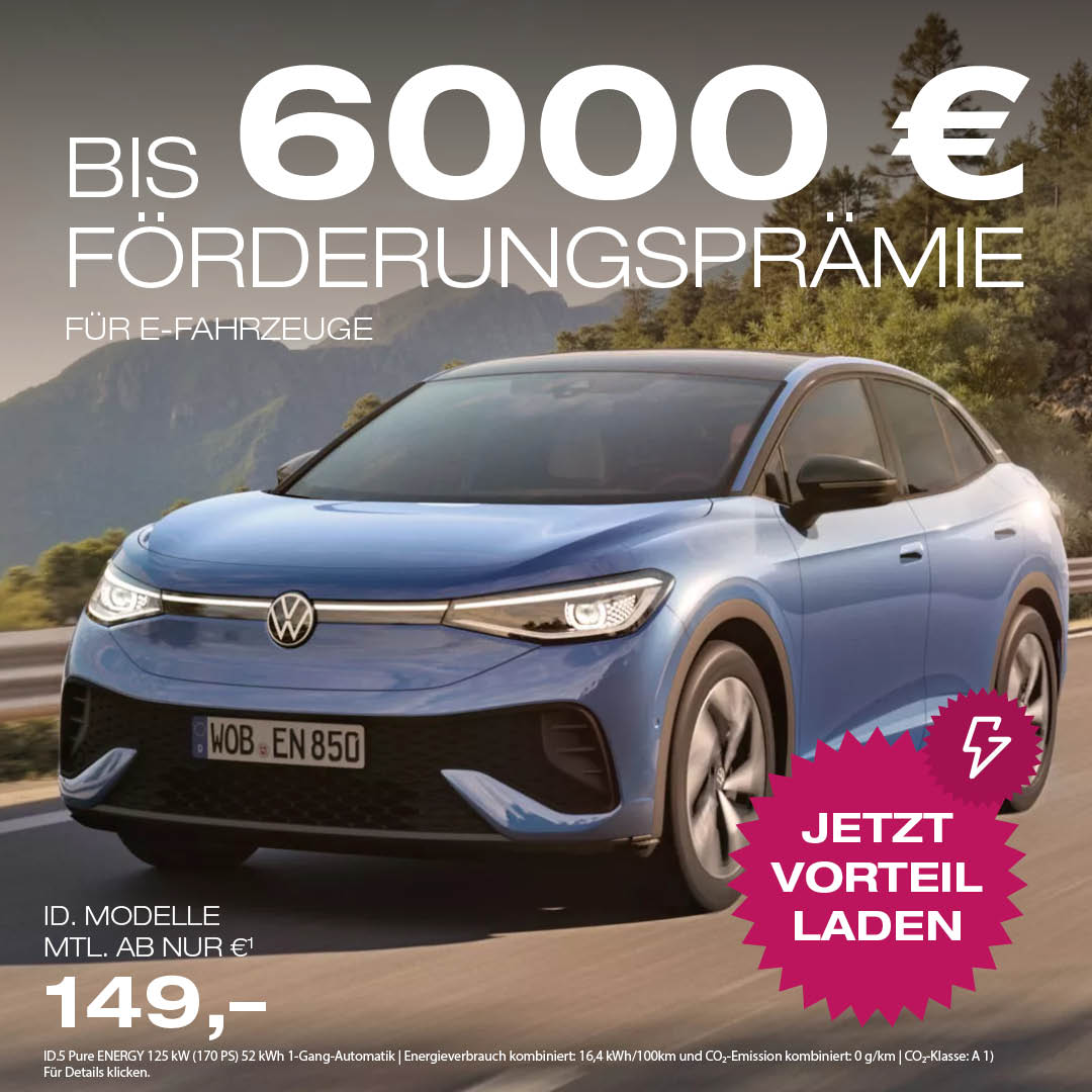 e-Förderung 6.000,- €