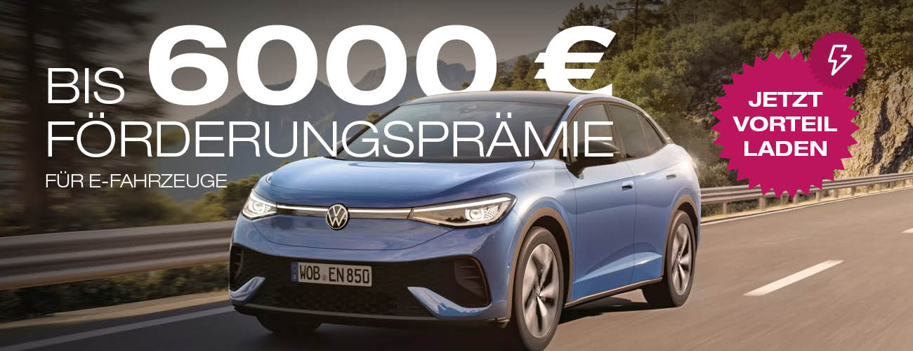 e-Förderung 6.000,- €