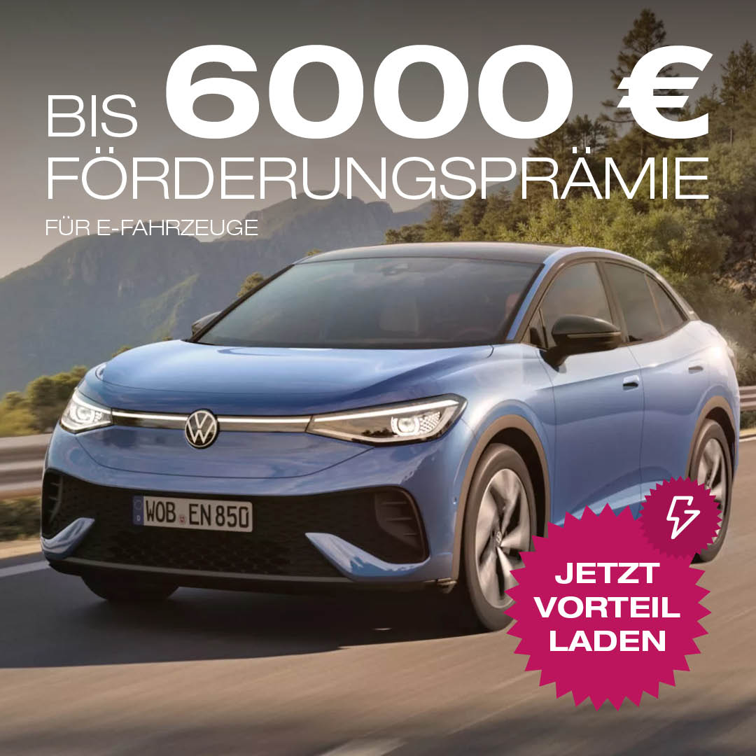 e-Förderung 6.000,- €